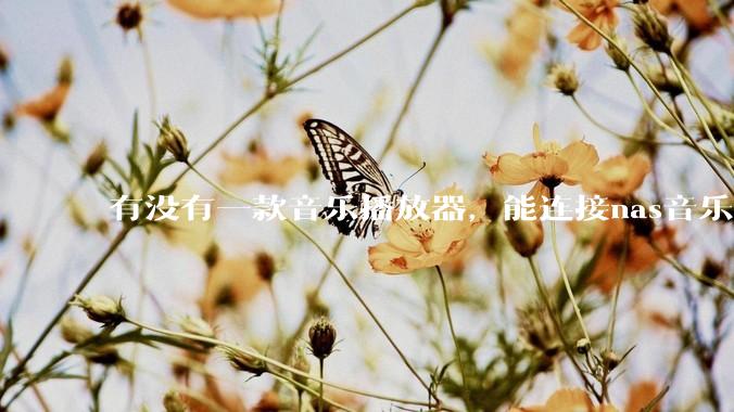 有没有一款音乐播放器，能连接nas音乐，创建音乐库，自动匹配歌词封面等等？类似infuse的概念呢？
