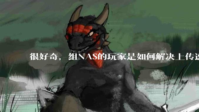 很好奇，组NAS的玩家是如何解决上传速率的问题?