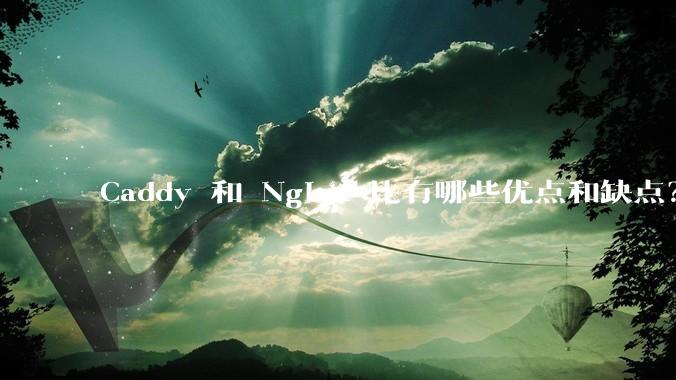 Caddy 和 Nginx 比有哪些优点和缺点？