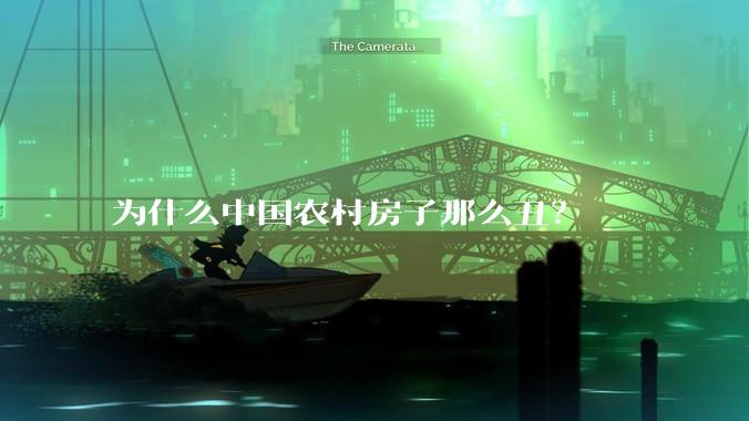 为什么中国农村房子那么丑？