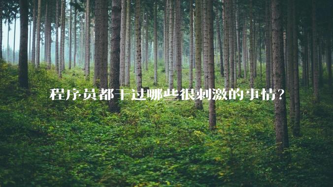 程序员都干过哪些很刺激的事情？