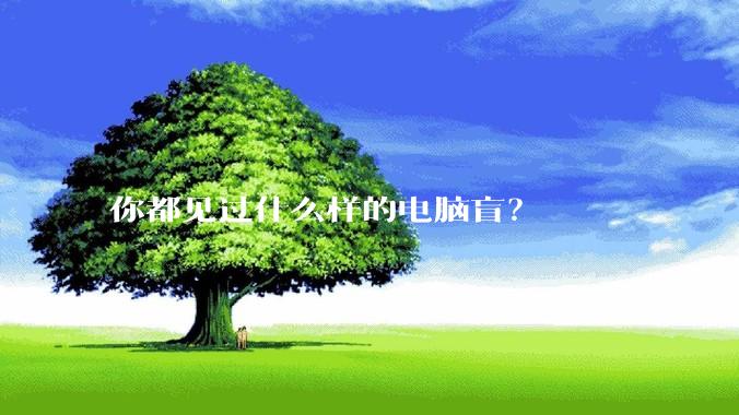 你都见过什么样的电脑盲？