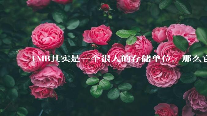 1MB其实是一个很大的存储单位，那么它的存储容量究竟有多大？