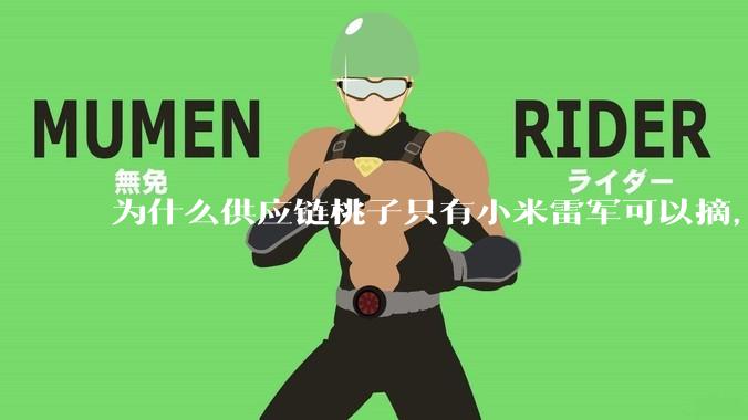为什么供应链桃子只有小米雷军可以摘，其他人只能干瞪眼？