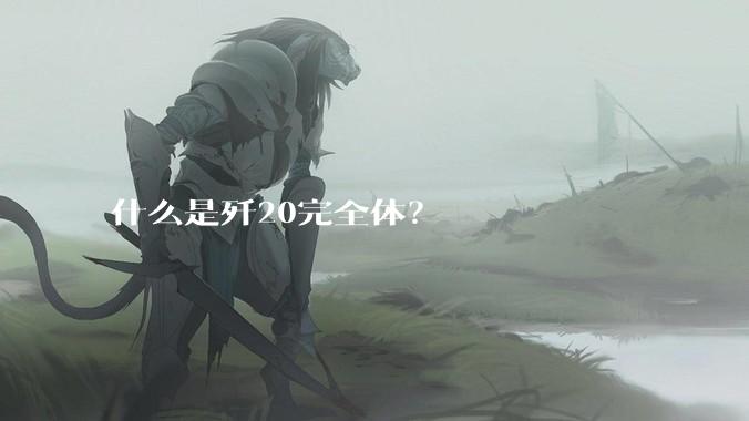 什么是歼20完全体？