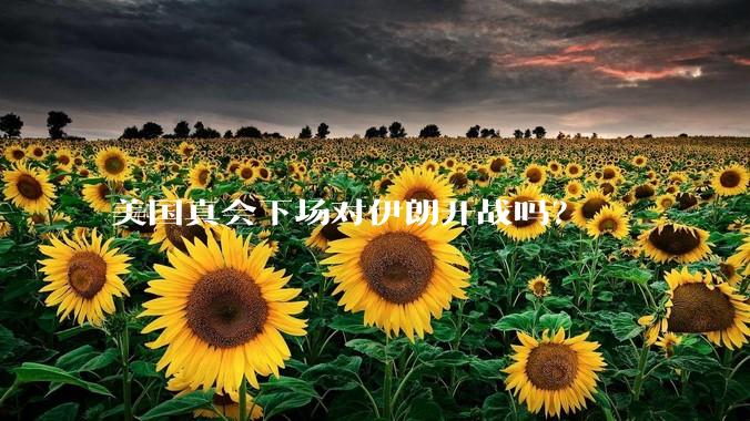 美国真会下场对伊朗开战吗？