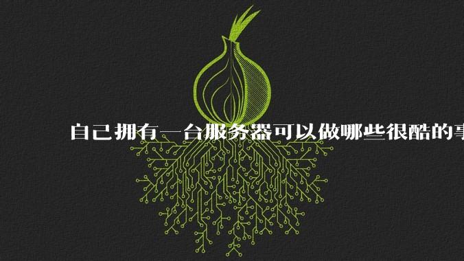自己拥有一台服务器可以做哪些很酷的事情？