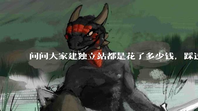 问问大家建独立站都是花了多少钱，踩过哪些坑？